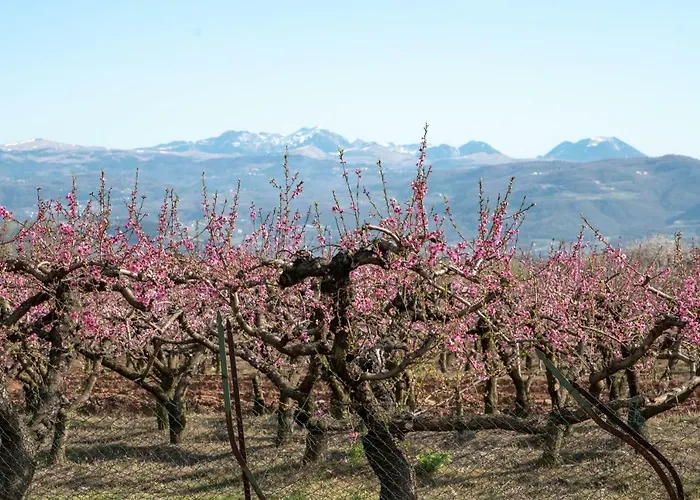 Bed and Breakfast Girelli Sorelle 3*