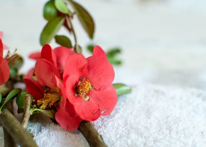 Girelli Sorelle 3* Bussolengo