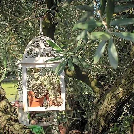Girelli Sorelle 4* Bussolengo