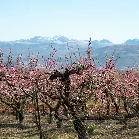 Nocleg ze śniadaniem Girelli Sorelle 3*