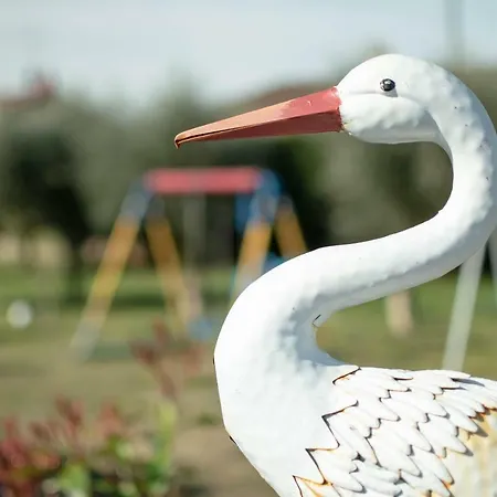 Alojamento de Acomodação e Pequeno-almoço Girelli Sorelle