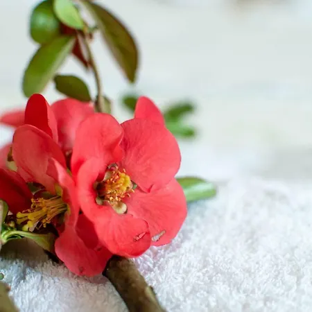 Girelli Sorelle 3* Bussolengo