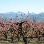 Bed & Breakfast Girelli Sorelle 4*